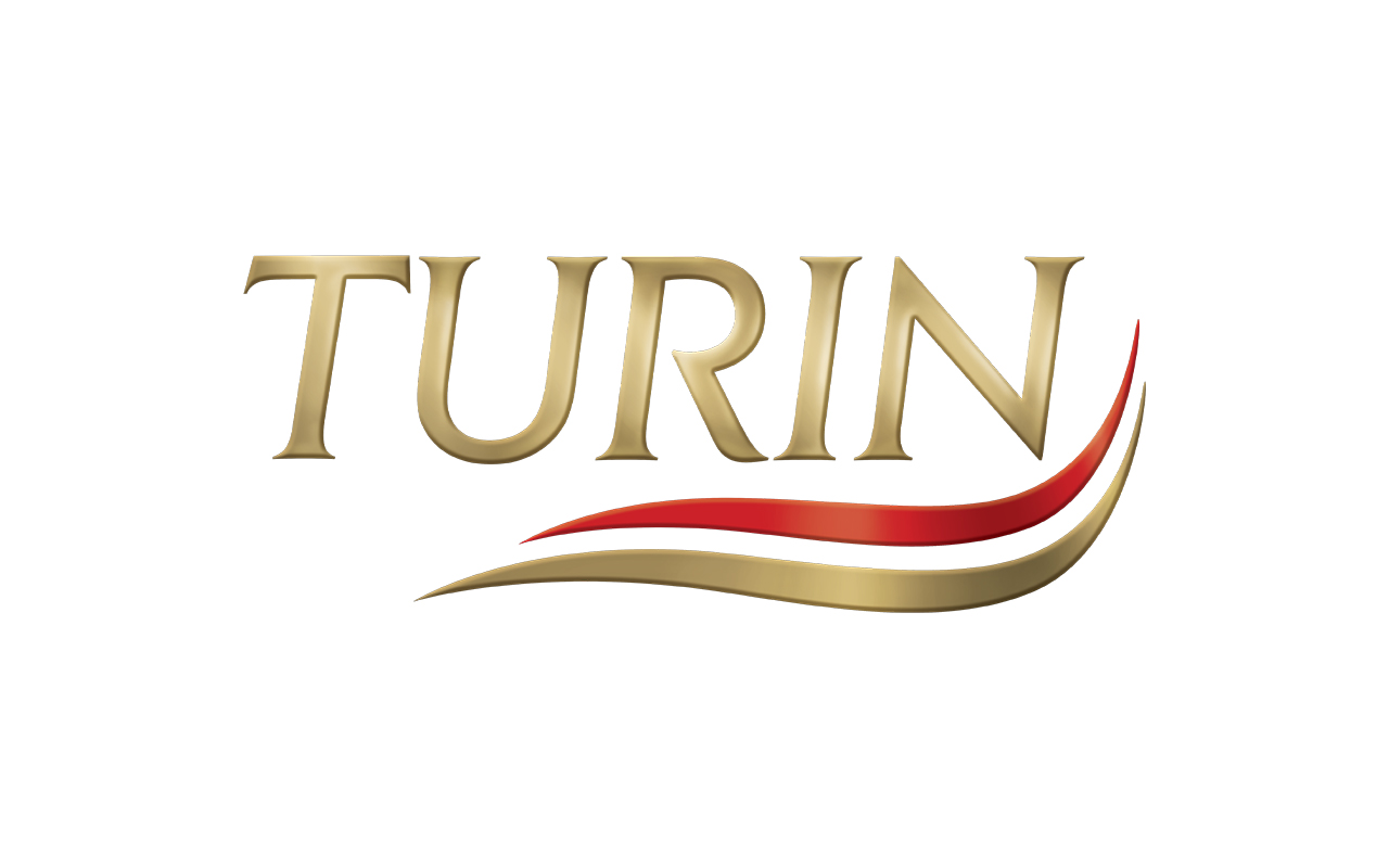 Turin logo